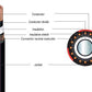 15-35kV URD (Underground Residential Distribution) Cable (133% insulation level)