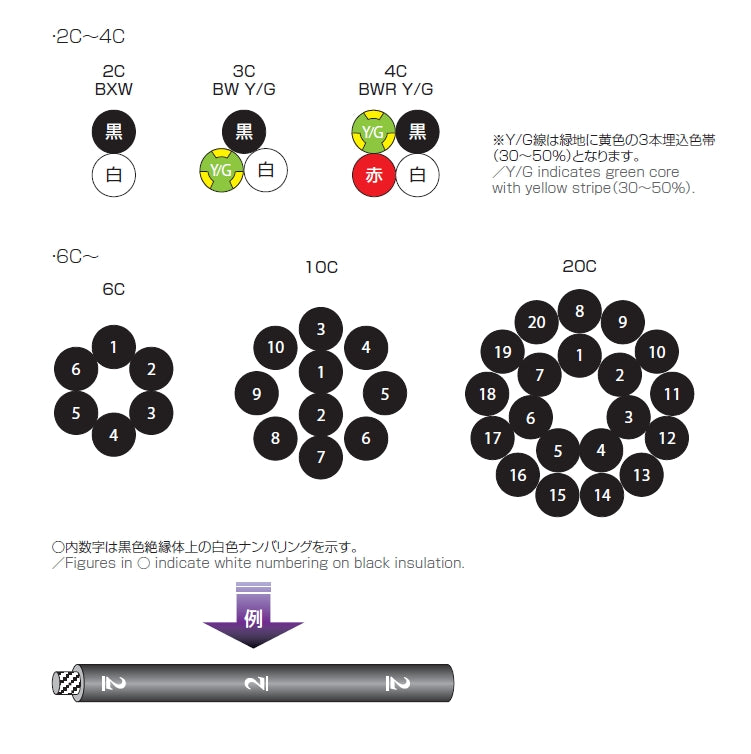 CM/2464-1007/2A-SB LF