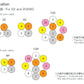 CM/2464-1007/2A-SB LF